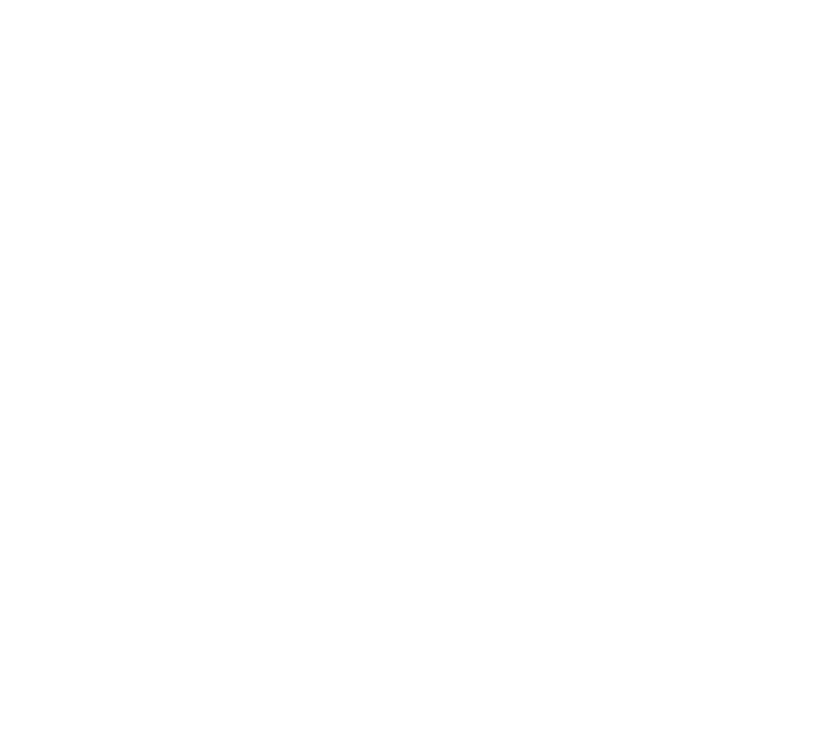 Personally Virtual